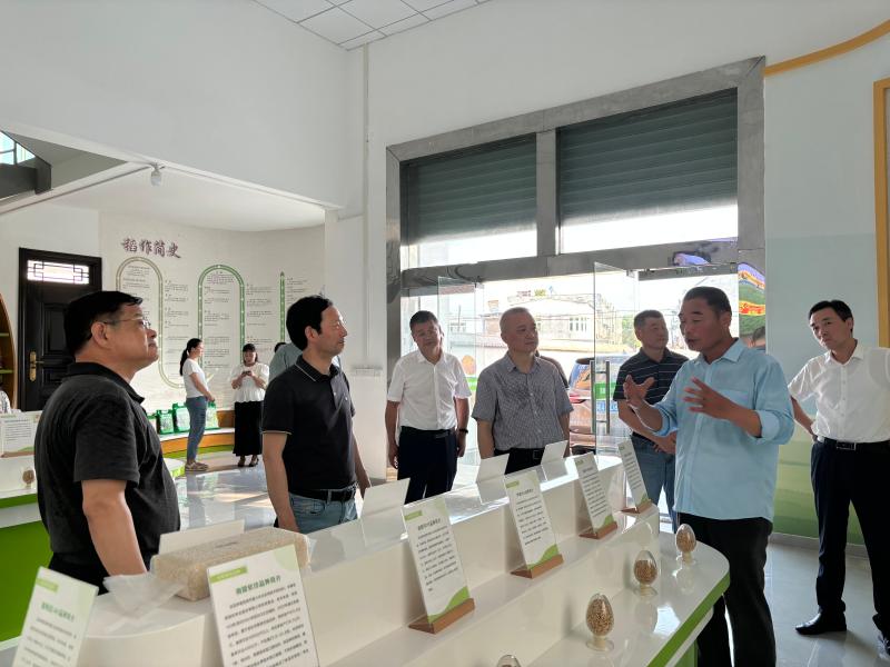 省人大農(nóng)業(yè)與農(nóng)村委員會來蕪調研高水平建設長三角綠色農(nóng)產(chǎn)品生產(chǎn)加工供應基地情況